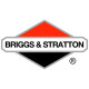 Двигатели Briggs-Stratton в Владивостоке