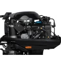Мотор Marlin MP30AWRS в Владивостоке